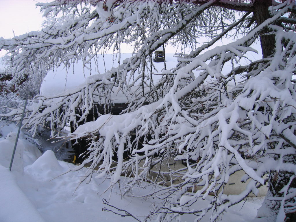 Sneeuw